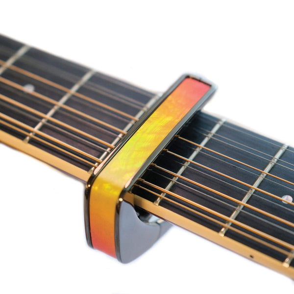 Thalia Capo Exotic Shell Series 24K Gold WHISKEY ANGELWING [新仕様